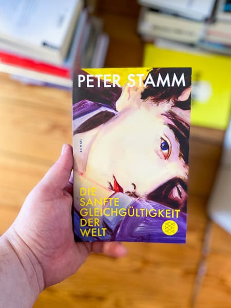 Cover von Die sanfte Gleichgültigkeit der Welt