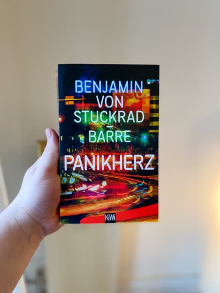 Cover von Panikherz