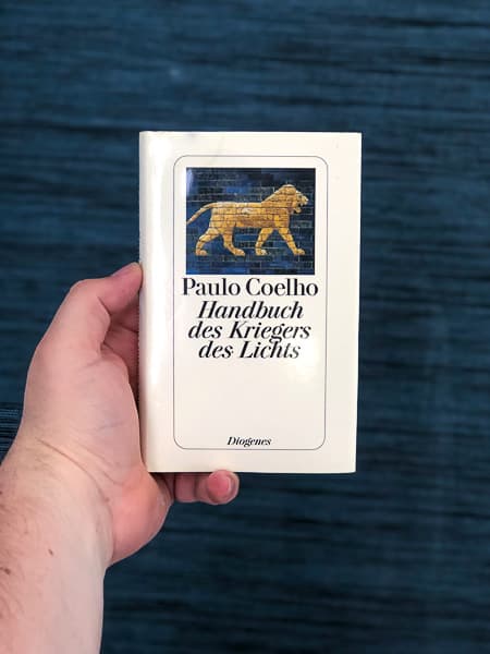 Cover von Handbuch des Kriegers des Lichts