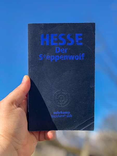 Cover von Der Steppenwolf