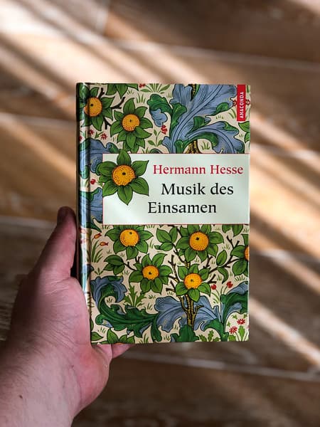 Cover von Musik des Einsamen