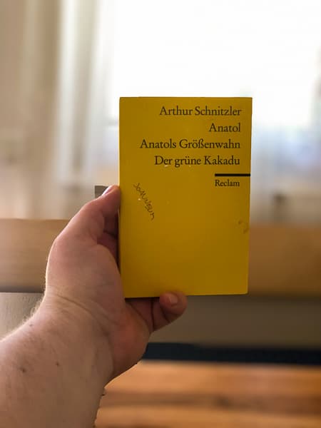 Cover von Anatols Größenwahn // Der grüne Kakadu